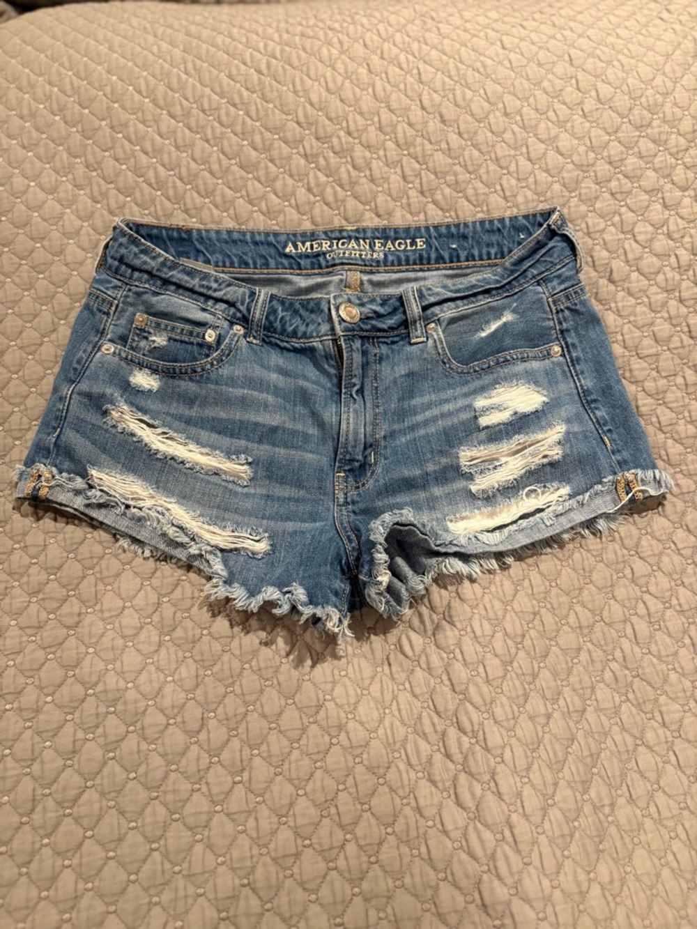American Eagle Outfitters Ripped Light Blue Denim Shorts
